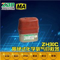 ZH30C30ӻѧԾ