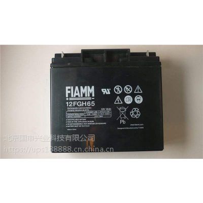 FIAMM***FG21201/2 12V12AH