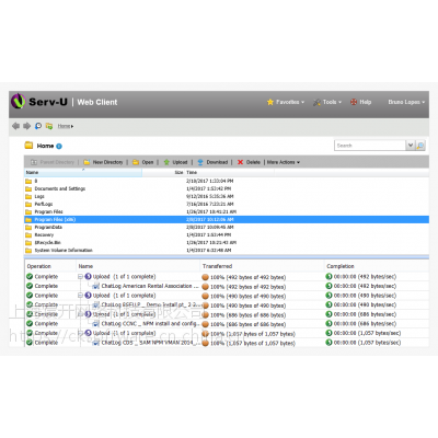SolarWinds Serv-U FTP Serverۣ۸