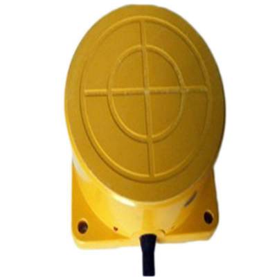 ˮӽCSJ-E100-60GKA90-250VAC