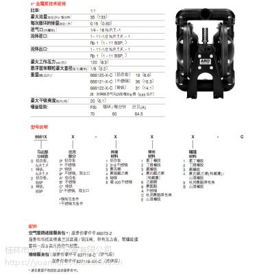 英格索兰气动隔膜泵666120-3EB-C