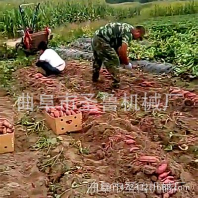 运城小型挖薯机 薄皮红薯收获机 手扶配套红薯土豆多功能收获机