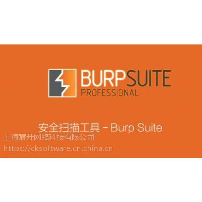 Burp Suite Professionalۣ۸