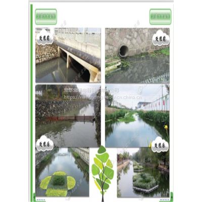 河南宝绿供应太阳能深度复氧机厂家