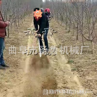 小型背负式旋耕机 葡萄园果树底锄草机 圣鲁热销除草机