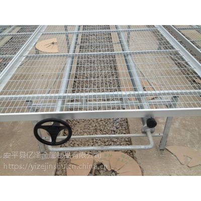 亿泽苗床网片优质厂家￥热浸镀锌苗床网片现货￥莘县育苗床尺寸规格