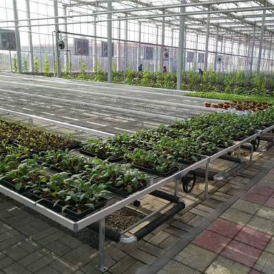 汉明温室多层苗床 多层移动苗床定制 厂家价格 中国供应商 汉明温室多层苗床 多层移动苗床定制 厂家价格 中国供应商