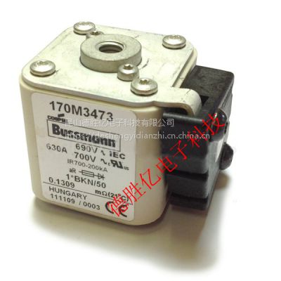ӦBUSSMANN۶170M3514 160A 170M3515 200A