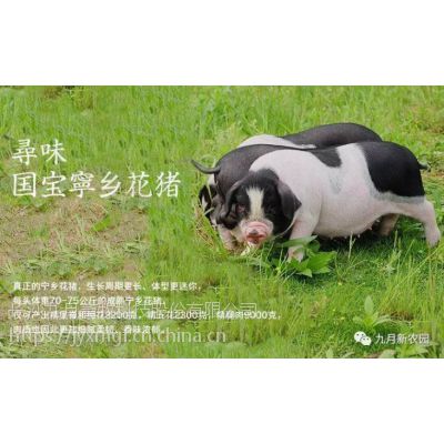 绨ѡ2016***ũҵƷ