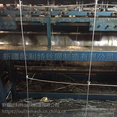 现货-新疆丝网厂家供应镀锌草原铁丝围栏 牛栏网200米一卷