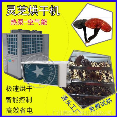 供应泰保TB-ZT-HGJ06广州空气能热泵烘干机 烘干除湿热风循环分体机一体机 灵芝干燥箱