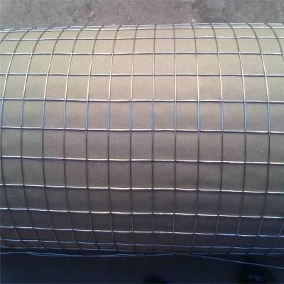 电焊网2米***格 pvc电焊网批发 防护网铁丝网