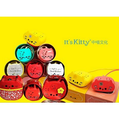 It's KittyUSBſɰСè߰