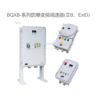 BQXB-系列防爆变频调速器 规格 型号 可定制 广东 厂家直销