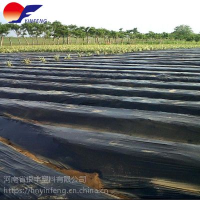 黑色地膜供应农用 打孔地膜 农用黑色地膜 可降解地膜