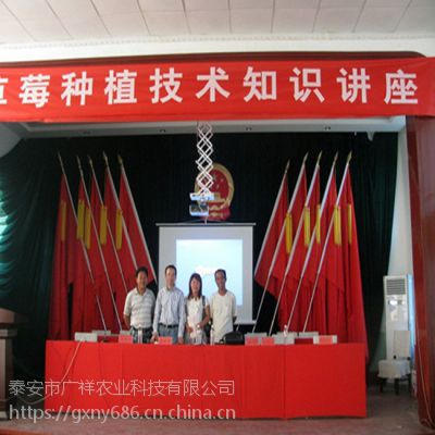 ղݮ ղݮ۸