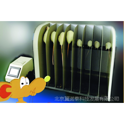 大小鼠转棒测试仪/大小鼠转棒仪/大鼠转棒仪