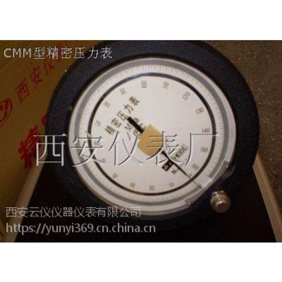 CM,CMM精密压力表