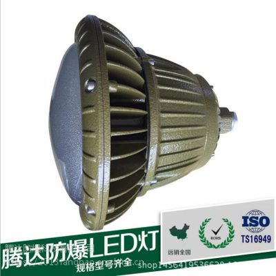 ֱLEDܵ /30W/40W/80W/CCD96ϵ