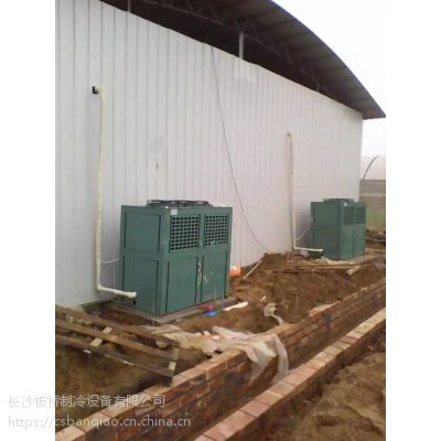 贵州凯里香菇保鲜冷库安装公司板桥制冷专注冷库十五年