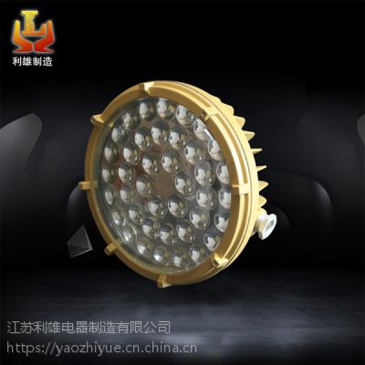25w40w60wLED防爆泛光灯 防爆led泛光灯25w40w60w BC9302