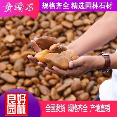 鹅卵石，批发铺路石料，黄色河卵石，广东鹅卵石厂家