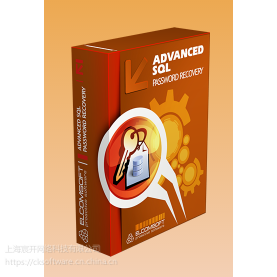 Advanced SQL Password Recoveryۣ۸