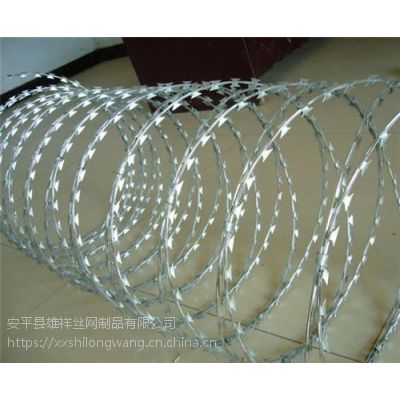 南海休渔完毕遇热带扰动 琼岛万船待发祈丰盈