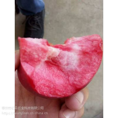 红肉苹果的详细品种介绍以及后期整形施肥管理