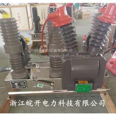 㽭ZW32-12FG/630A-20Ŷ·󱸵 ½10kv·ר