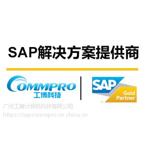 广州SAP咨询公司 广州SAP实施公司 ***工博科技