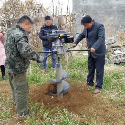 小型手提种植机 汽油便携式打坑机 安徽植树挖坑机