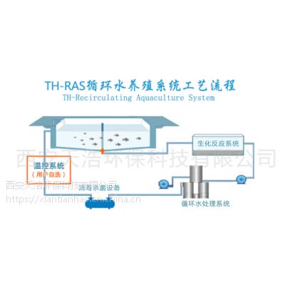 对虾循环水养殖过滤系统设计|对虾养殖循环水系统设计方案