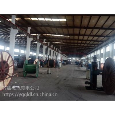 ӦȼWDZ-VV-1KV 3*4³