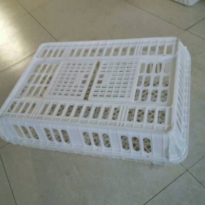 成鸡周转箱 肉鸡转运箱 长途运输鸭笼批发