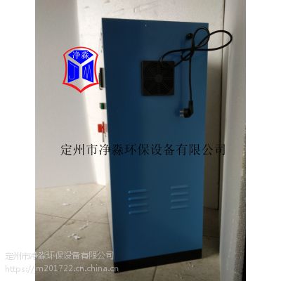 水箱自洁臭氧发生器 经济适用