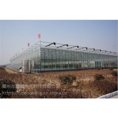 云南现代科技农业玻璃温室阳光房高抗风抗雪型建造公司