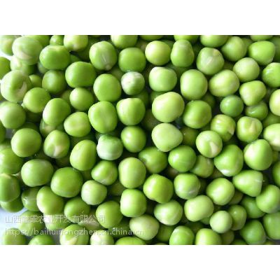 Ӧٻũ䡿ඹ ඹ  ֱ