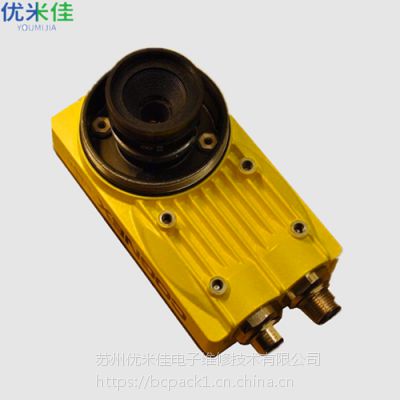 COGNEXӾϵͳIn-Sight 5401 800-5838-1 Eҵά