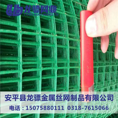 公路防护隔离网 浸塑荷兰网 养殖防护网