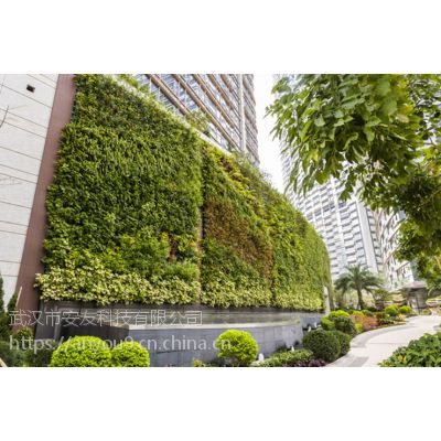 墙面绿化种植花箱植物墙立体绿化建筑物