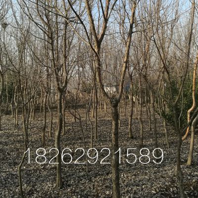 10͸*** 2018Ǯ 1500÷ ũн۸