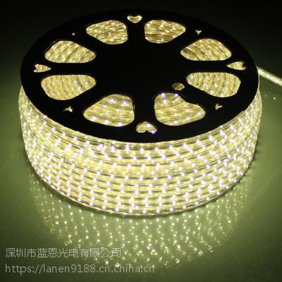 蓝恩光电厂家直销 工程*** 高压灯带220V