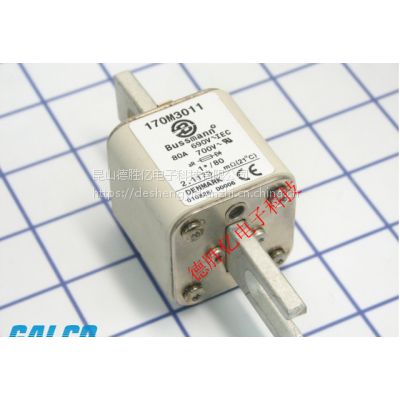 ӦBUSSMANN۶170M3011