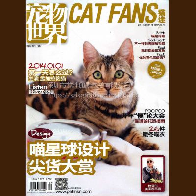 深圳公司画册设计 期刊定制 企业内刊设计印刷