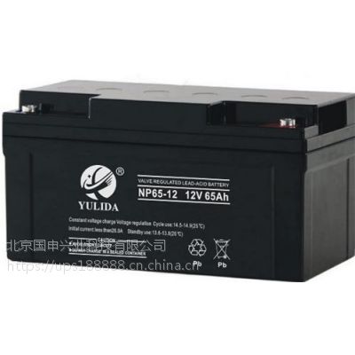 YULIDANP100-12 12V100AH