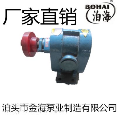 厂家专业生产 2CY传输燃油增压齿轮泵皂液泵