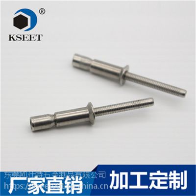 厂家直销拉丝不锈钢铆钉4.8*24.6 SK-6125-UG