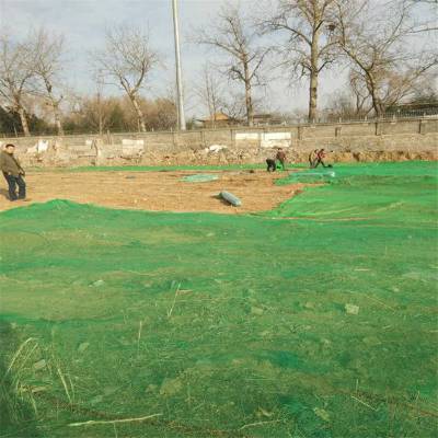 绿色黑色盖土网 扁丝盖土防尘网 工地铺盖塑料网