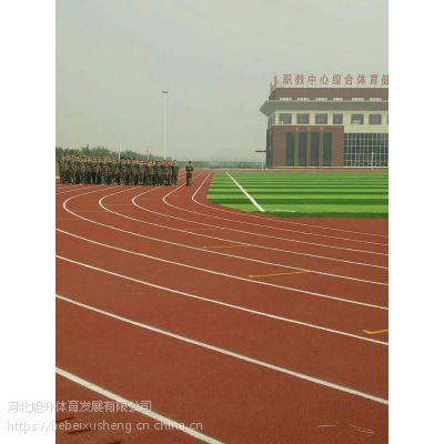 蠡县环保塑胶跑道设计与施工运动跑道